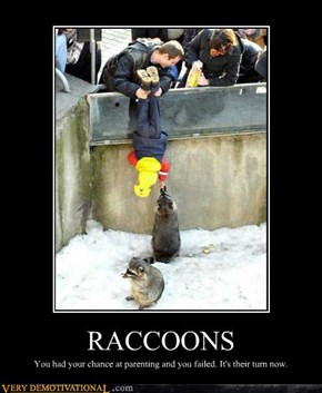 RACCOONS