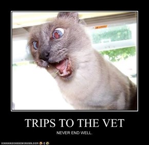 TRIPS TO THE VET