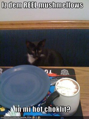 Iz dem REEL mushmellows  in mi hot choklit?