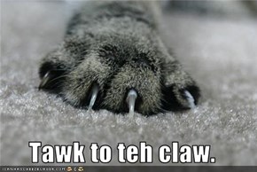 Tawk to teh claw.