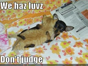 We haz luvz  Don't judge