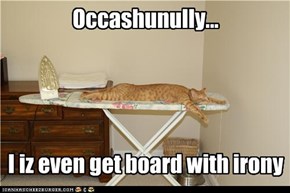 Occashunully...      I iz even get board with irony