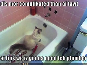 dis mor complikated than ai tawt  ai fink we iz gonna need teh plumber