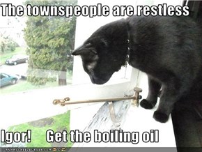 The townspeople are restless  Igor!     Get the boiling oil