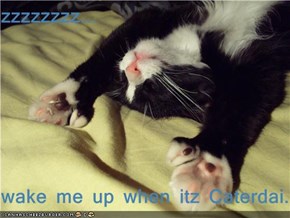 zzzzzzzz...  wake me up when itz Caterdai...