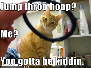 Jump throo hoop? Me? Yoo gotta be kiddin.