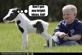 Don't get any bright ideas, kid!