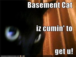 Basement Cat iz cumin' to get u!