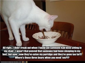 All right...I didn't freak out when I found out someone had been sitting in my chair...I wasn't that peeved that someone had been sleeping in my bed...but now....now they've eaten my porridge and they've gone too far!!!  Where's those three bears when you