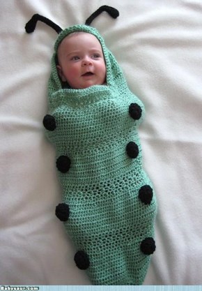Baby Caterpiller Snuggler