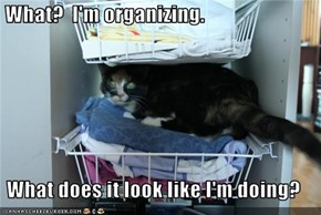 What?  I'm organizing.  What does it look like I'm doing?