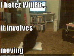 I hatez Wii Fit... it involves  moving