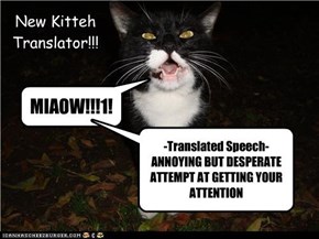 New Kitteh Translator