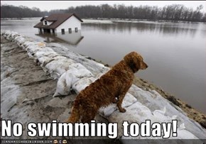 No swimming today!