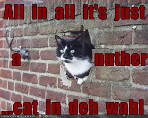 All  in  all  it's  just      a                    nuther   ...cat  in  deh  wahl