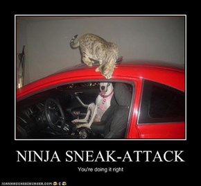 NINJA SNEAK-ATTACK