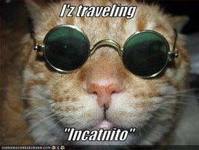 I'z traveling  "Incatnito"