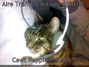 Aire Traffik Controller Kitteh  Cawt Napping on Job!