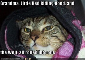 Grandma, Little Red Riding Hood, and   the Wolf, all rolled into one