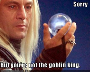 Sorry   But you're not the goblin king.