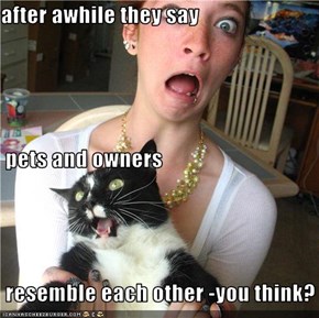 after awhile they say   pets and owners  resemble each other -you think?