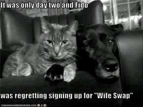 It was only day two and Fido  was regretting signing up for "Wife Swap"