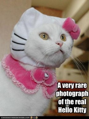 A very rare  photograph  of the real  Hello Kitty