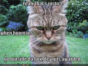 Yeah, that's justice when hoomans  go outside da box, dey gits awarded