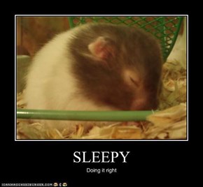 SLEEPY