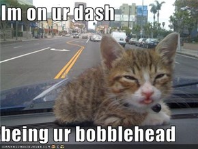 Im on ur dash  being ur bobblehead
