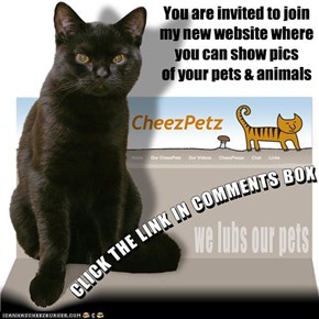 To all my Pet Loving Cheezfrenz . . . . .
