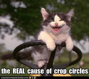 the  REAL  cause  of  crop  circles
