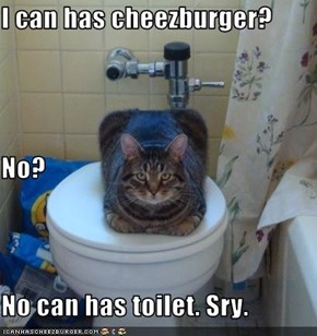I can has cheezburger? No? No can has toilet. Sry.