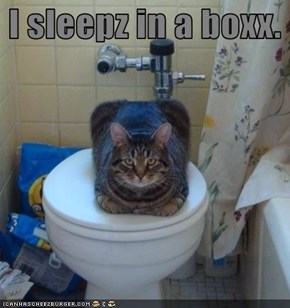 I sleepz in a boxx.