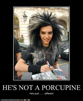 HE'S NOT A PORCUPINE
