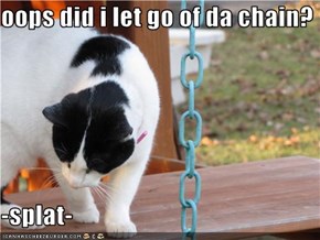 oops did i let go of da chain?  -splat-