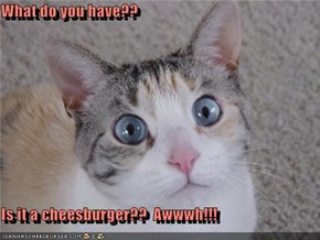 What do you have??  Is it a cheesburger??  Awwwh!!!