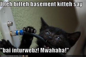 Itteh bitteh basement kitteh say  "bai inturwebz! Mwahaha!"