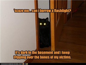 'scuze me... can i borrow a flashlight?          it's dark in the basement and i keep  tripping over the bones of my victims.