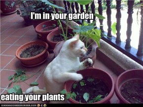 I'm in your garden