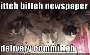 itteh bitteh newspaper  delivery committeh