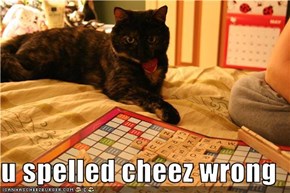 u spelled cheez wrong