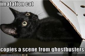 imatation cat  copies a scene from ghostbusters