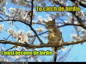 To catch de birdie