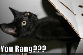 You Rang???