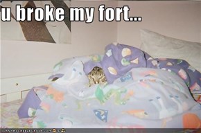 u broke my fort...