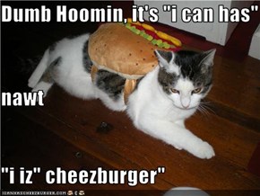 Dumb Hoomin, it's "i can has" nawt "i iz" cheezburger"