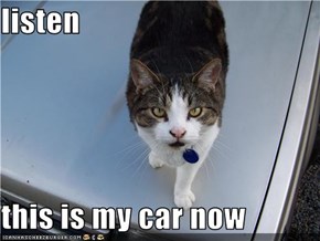 listen  this is my car now