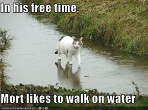 In his free time,  Mort likes to walk on water