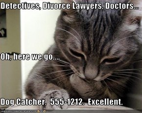 Detectives, Divorce Lawyers, Doctors... Oh, here we go.... Dog Catcher.  555-1212.  Excellent.